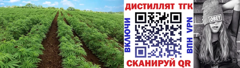 blacksprut ссылка  где найти наркотики  Чернушка  Дистиллят ТГК жижа 