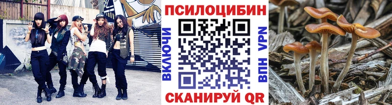 Галлюциногенные грибы мицелий  Чернушка 
