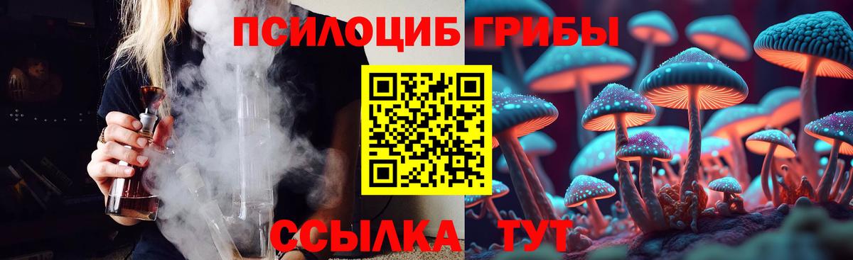Псилоцибиновые грибы Magic Shrooms Чернушка
