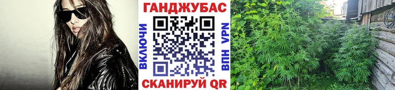 Бошки марихуана марихуана  даркнет Telegram  Чернушка 
